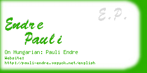 endre pauli business card